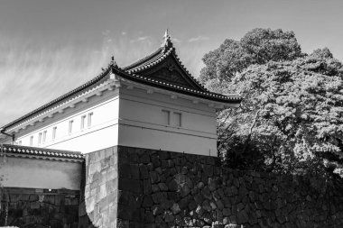 Tokyo şehri ve Fuji Dağı.