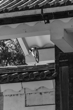 Tokyo şehri ve Fuji Dağı.