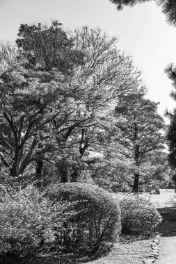 Tokyo şehri ve Fuji Dağı.