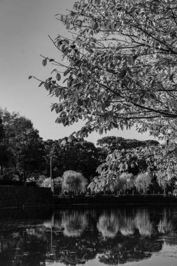 Tokyo şehri ve Fuji Dağı.