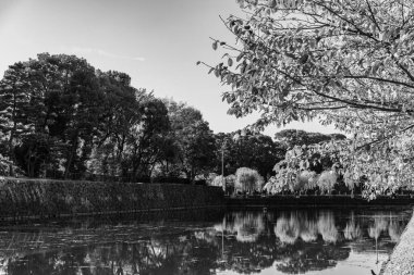 Tokyo şehri ve Fuji Dağı.