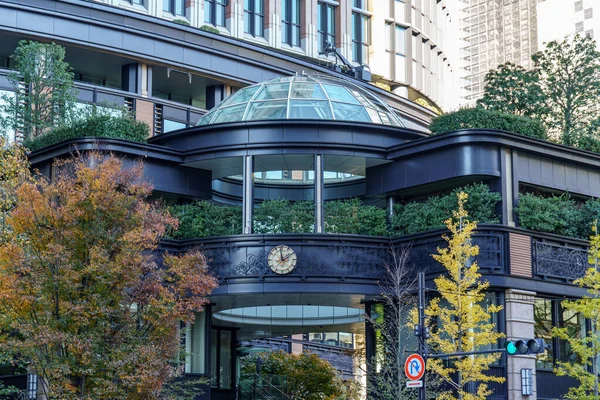 Tokyo yakınlarındaki Japonya 'da sonbahar zamanı.