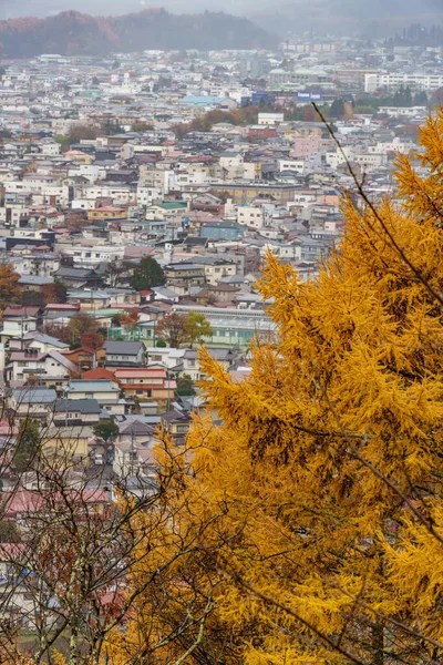 Tokyo ve Fuji Dağı Japonya 'da