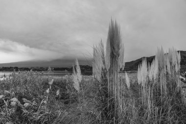 Tokyo şehri ve Japonya 'daki Fuji Dağı.