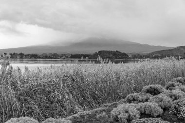 Tokyo şehri ve Japonya 'daki Fuji Dağı.
