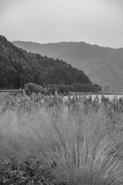 Tokyo şehri ve Japonya 'daki Fuji Dağı.