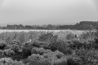 Tokyo ve Fuji Dağı Japonya 'da