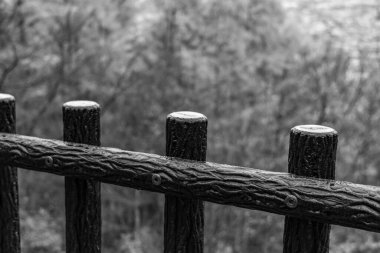 Tokyo ve Fuji Dağı Japonya 'da