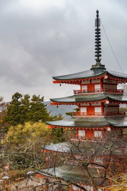 Tokyo ve Fuji Dağı Japonya 'da