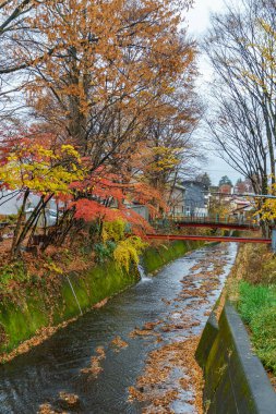 Tokyo ve Fuji Dağı Japonya 'da