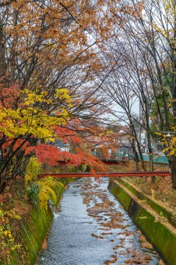 Tokyo ve Fuji Dağı Japonya 'da