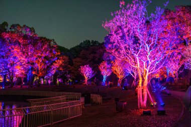 Tokyo ve Fuji Dağı Japonya 'da