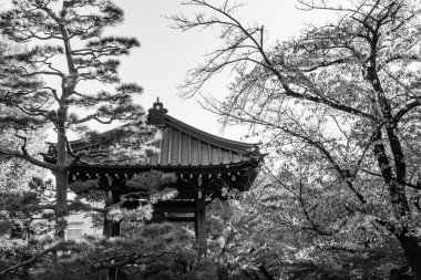 Sonbahar zamanı Tokyo şehri