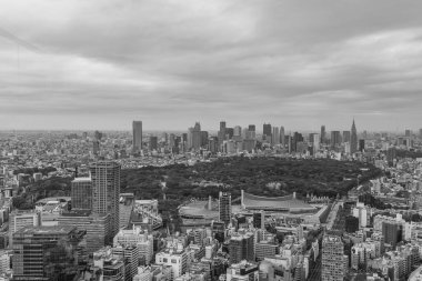 Sonbahar zamanı Tokyo şehri