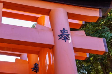 Japonya'nın Kyoto şehir