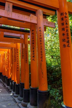 Japonya'nın Kyoto şehir