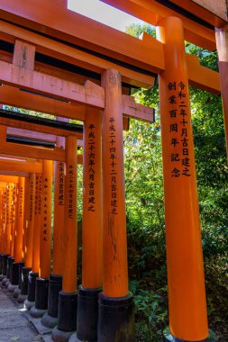 Japonya'nın Kyoto şehir