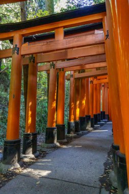 Japonya'nın Kyoto şehir