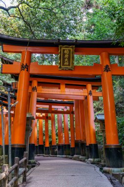 Japonya'nın Kyoto şehir