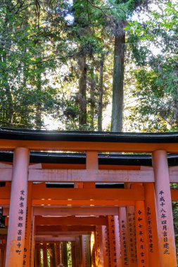 Japonya'nın Kyoto şehir