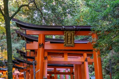 Japonya'nın Kyoto şehir