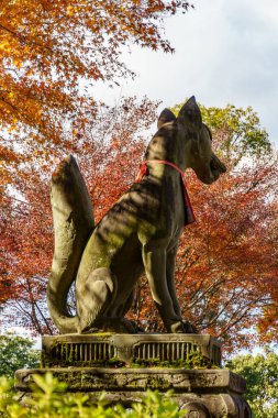 Japonya'nın Kyoto şehir