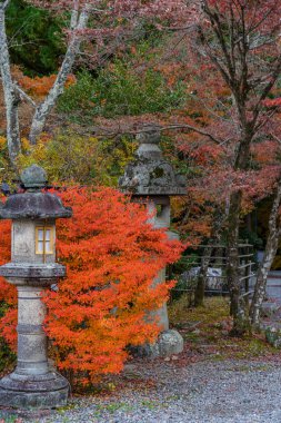 Japonya'nın Kyoto şehir