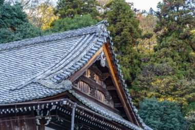 Japonya 'nın Osaka şehrinde sonbahar zamanı.