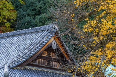 Japonya 'nın Osaka şehrinde sonbahar zamanı.