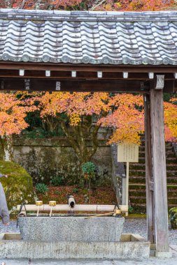 Japonya 'nın Osaka şehrinde sonbahar zamanı.
