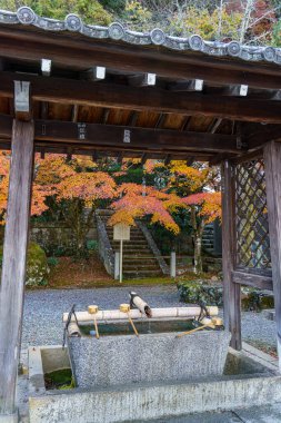 Japonya 'nın Osaka şehrinde sonbahar zamanı.