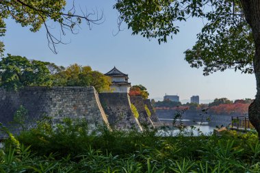 Japonya 'nın Osaka şehrinde sonbahar zamanı.