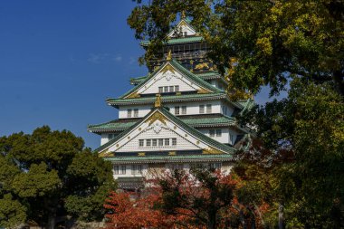 Japonya 'nın Osaka şehrinde sonbahar zamanı.