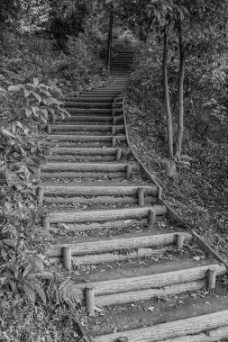 Japonya 'daki Osaka şehri.