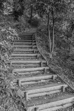 Japonya 'daki Osaka şehri.