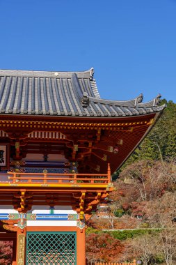 Osaka 'da sonbahar zamanı