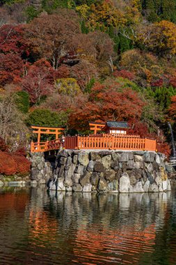 Osaka 'da sonbahar zamanı