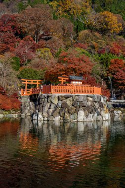 Osaka 'da sonbahar zamanı