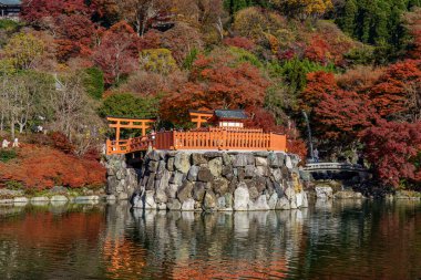 Osaka 'da sonbahar zamanı