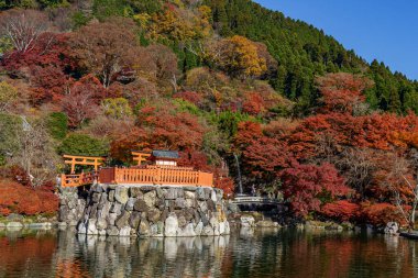 Osaka 'da sonbahar zamanı