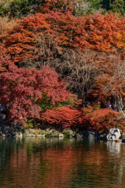 Osaka 'da sonbahar zamanı