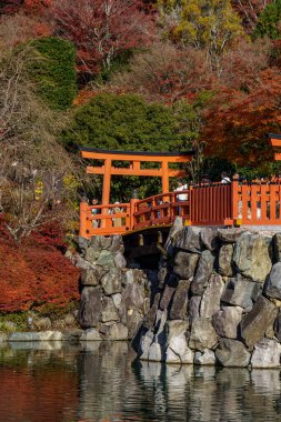 Osaka 'da sonbahar zamanı