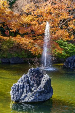 Osaka 'da sonbahar zamanı