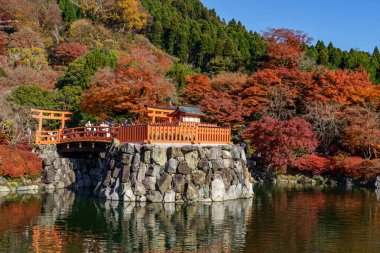 Osaka 'da sonbahar zamanı