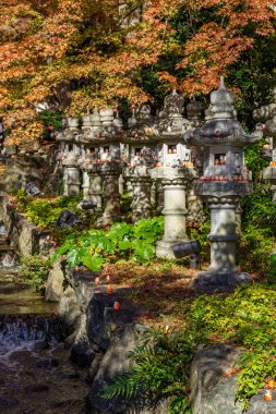 Osaka 'da sonbahar zamanı