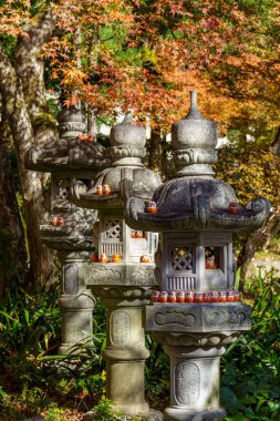 Osaka 'da sonbahar zamanı