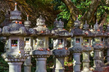 Osaka 'da sonbahar zamanı