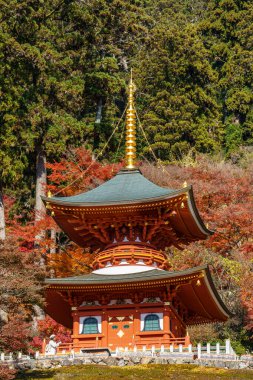 Osaka 'da sonbahar zamanı