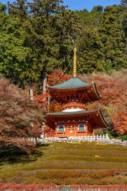 Osaka 'da sonbahar zamanı