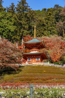 Osaka 'da sonbahar zamanı